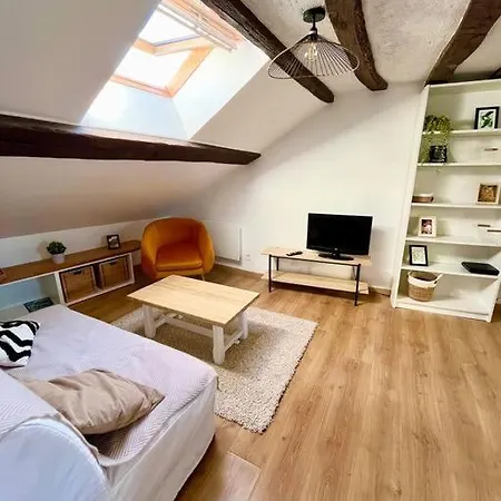 Cosy Hypercentre Place St Pierre * Saumur